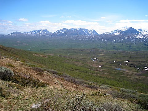 Abisko Juni 2009 dag 4 - 24.jpg